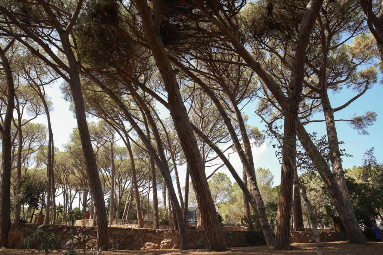 Camping 3 Estrellas Costa Brava 벨로브레가 외부 사진